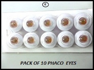 Durable Acrylic CV-126 Phaco Practice Eyes Training at ₹ 2100/piece in